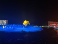 -鼎盛王朝康熙大典实景演出