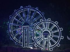 -重庆海昌加勒比海水世界