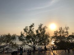 -宝安西湾红树林湿地公园