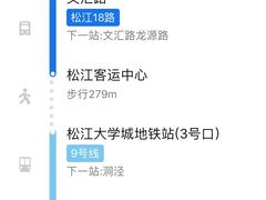 -陆家浜路(地铁站)