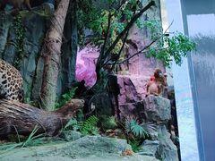 -重庆中国三峡博物馆(重庆博物馆)