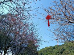 -广州市白云山风景名胜区