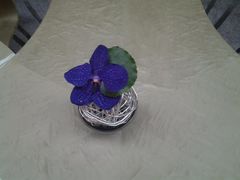 大堂-广州四季酒店