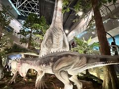 -湖南省地质博物馆