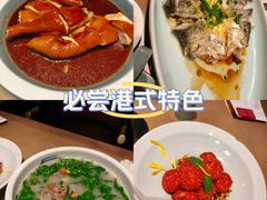 -岭南站NOVA