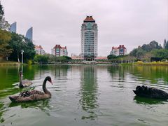 -厦门大学(思明校区)