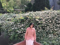 -四川大学(望江校区)