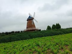 -君乐宝优致牧场