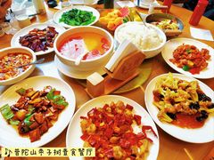 -枣子树·素食餐厅(普陀山店)