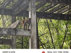 -黔灵山公园