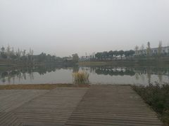 景点-眉山湿地公园(东坡区)