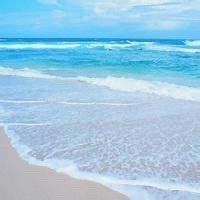 -薇兰专业脱毛连锁机构