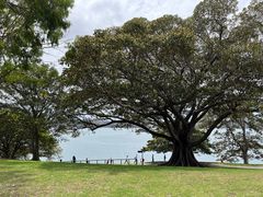 -麦考利夫人座椅