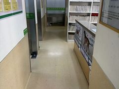 -爱侣宠医·鹦鹉专科·小型哺乳类·异宠专科(灵石路店)