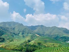 -午潮山国家森林公园