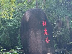 -三亚海棠湾南田温泉神龙谷