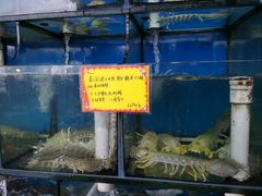 水产区-蚝专家(北滘店)