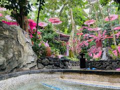 -海口观澜湖火山温泉谷