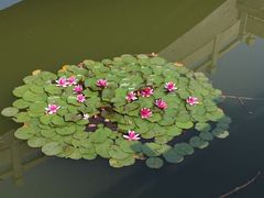 -原山国家森林公园