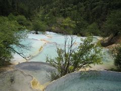 -黄龙山原始森林景区