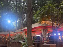 -二荆条·蜀鲜汇城市森林火锅