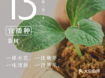 吐掉，无需再用清水漱口，漱口后隔15分钟再进食进水