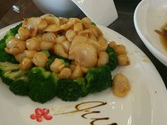 -宝界普菲特湖畔酒店