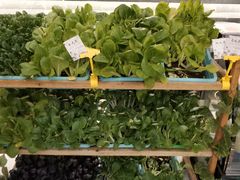 -颂福楼·南京菜(定淮门店)