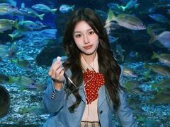 -海合安武汉极地海洋公园