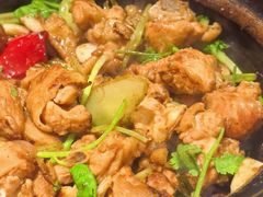 沙姜啫鸡-煲煲好(朝阳门店)