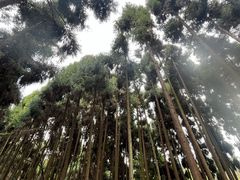-青城山