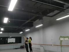 -舞蕾舞蹈(特长生校区)