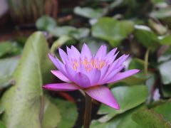 -白鹭湾湿地公园