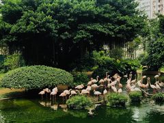 -九龙公园