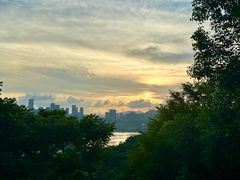 -深圳仙湖植物园