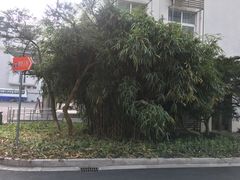 -上海对外经贸大学(古北校区)