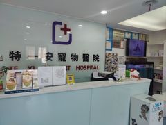 -特一安24小时宠物医院·骨科·中兽医