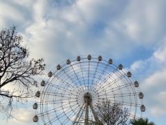 -云里梦想乐园