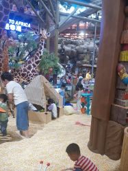 -卡通尼·Safari非洲探索乐园·生日会(金桥国际商业广场店)