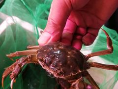 -三旗百汇商品城