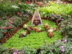 -北京植物园-展览温室