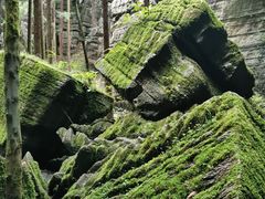 -梭布垭石林景区