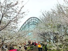 -南山植物园