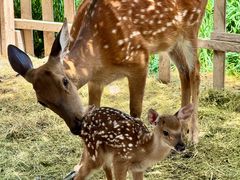 -水上乐园·欢乐世界