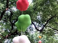 -上海共青森林公园