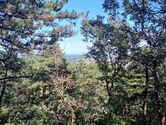 -北京西山国家森林公园