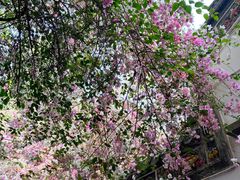 -深圳国际园林花卉博览园