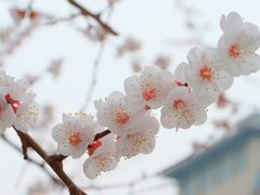 -长春公园(普阳街道)