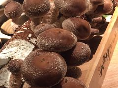 鲜菌-大头椰·椰子鸡火锅(南宁万象城店)