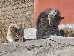 -天津盘山风景名胜区